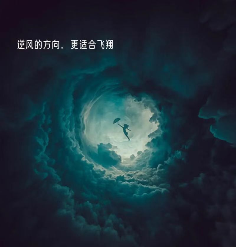 逆风翻盘展现实力超群,夺得殊荣傲视群雄 逆风翻盘展现实力超群,夺得殊荣傲视群雄