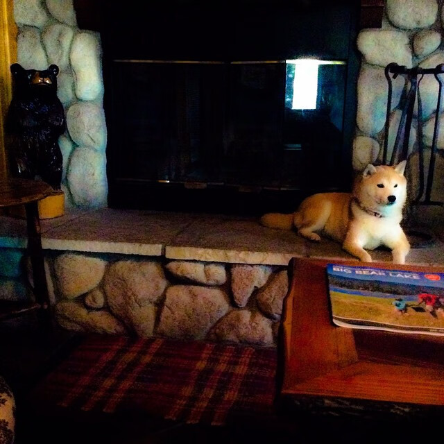 银河奔涌处，孤星照破长夜，米切尔的冠军启示录