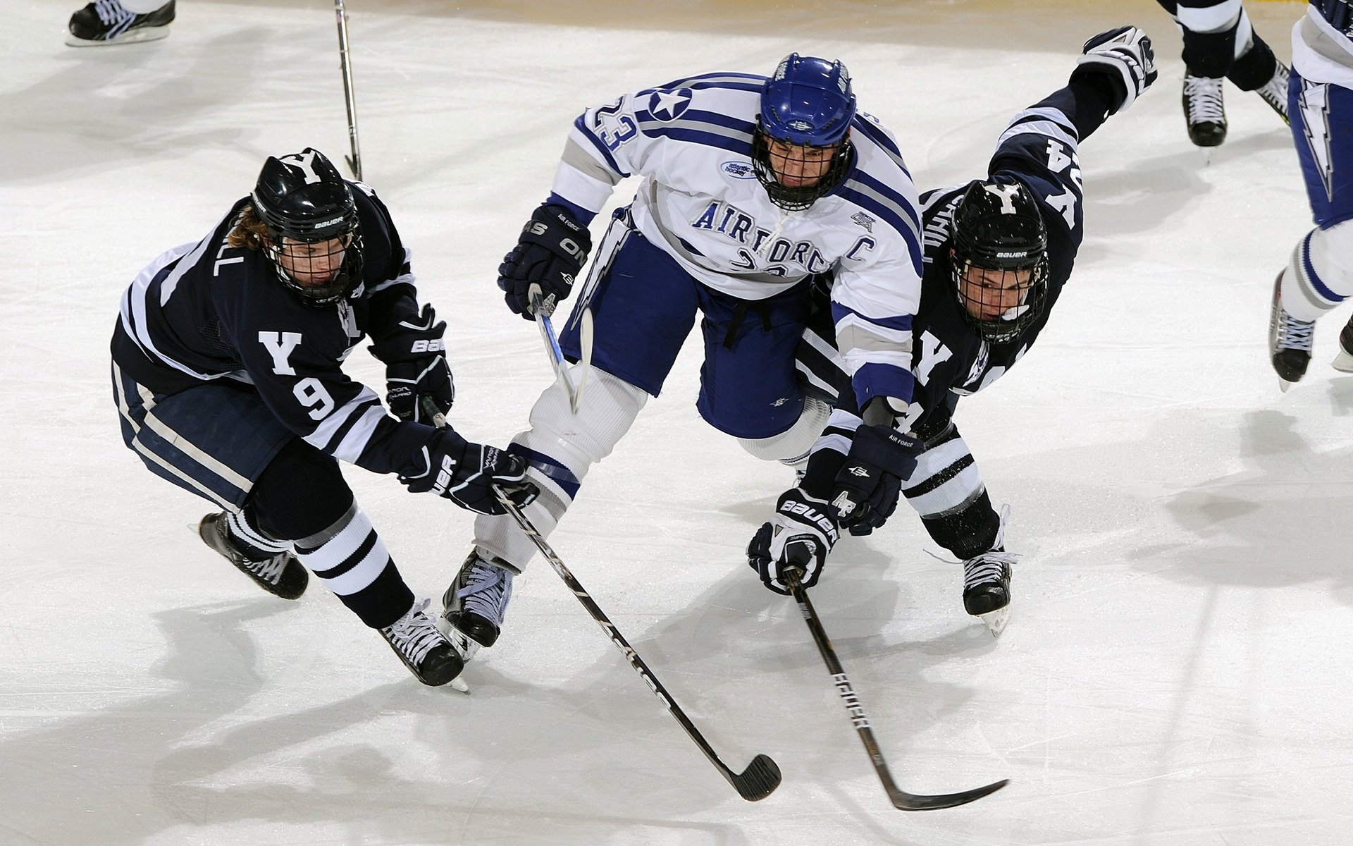 当锡安上演冠军级表现，体育圈的国王真从辽宁带走了王冠？