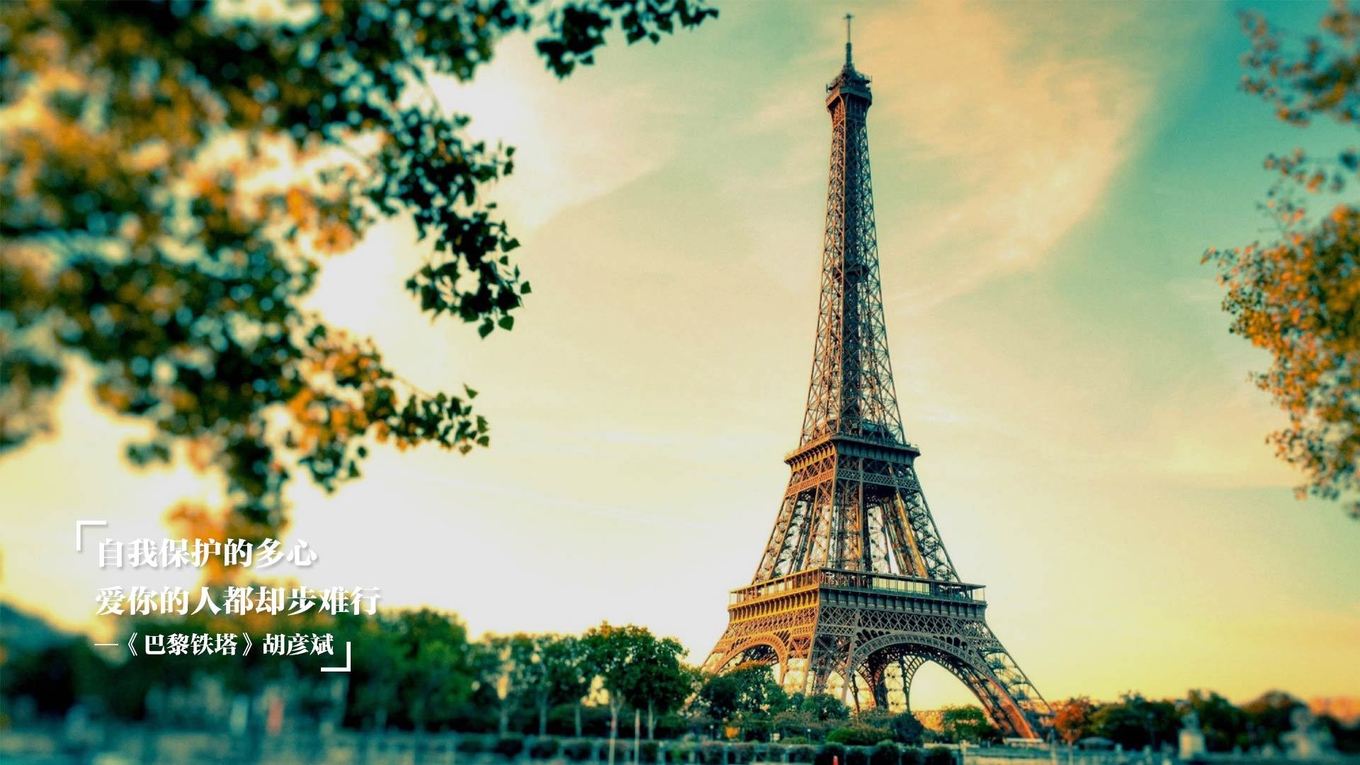 双王记，萨城逆袭撕裂灰熊铁阵，浓眉天神下凡锁定年度战役