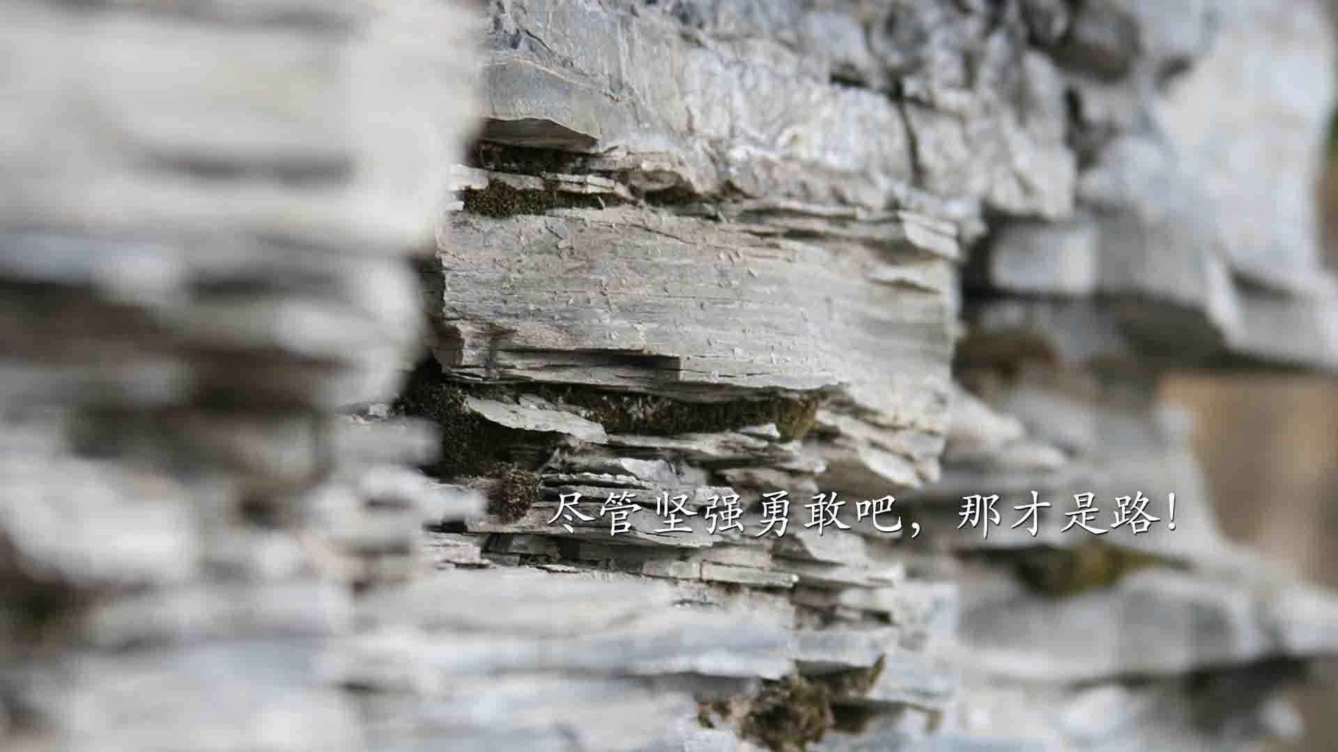 禁区统治者!戈贝尔遮天蔽日,老鹰末节猎杀时刻一波流带走奇才