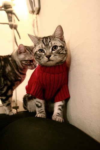 一瞬戏剧性，苏亚雷斯的致命助攻与希腊神话的意外续章