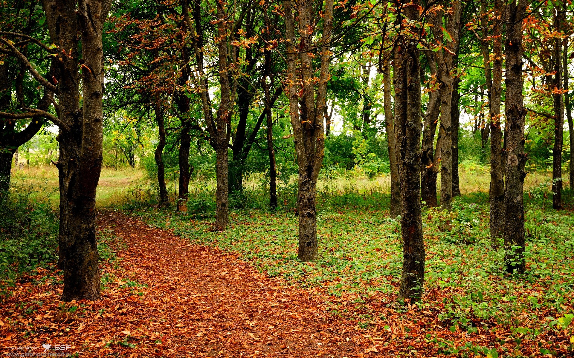 跨界焦点，马丁内利在曼城与拜仁的传奇对决中定义比赛