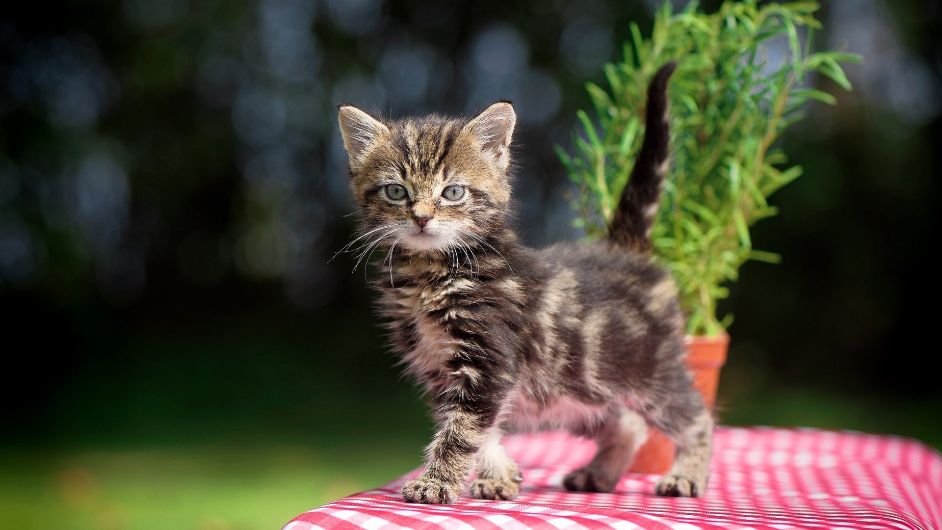 唯一性，阿什拉夫关键制胜，波兰斩落毕尔巴鄂