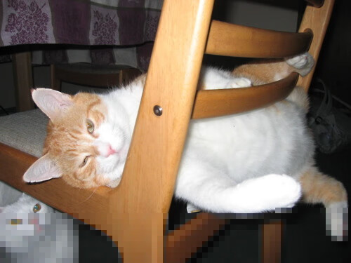 当篮球之矛刺穿足球之盾，西亚卡姆在国家德比夜的跨界神话