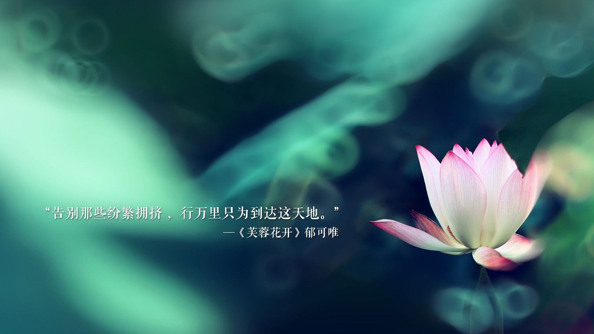 唯一的神话，2026世界杯A组，尼日利亚力克智利，德布劳内临场调度铸就逆转经典